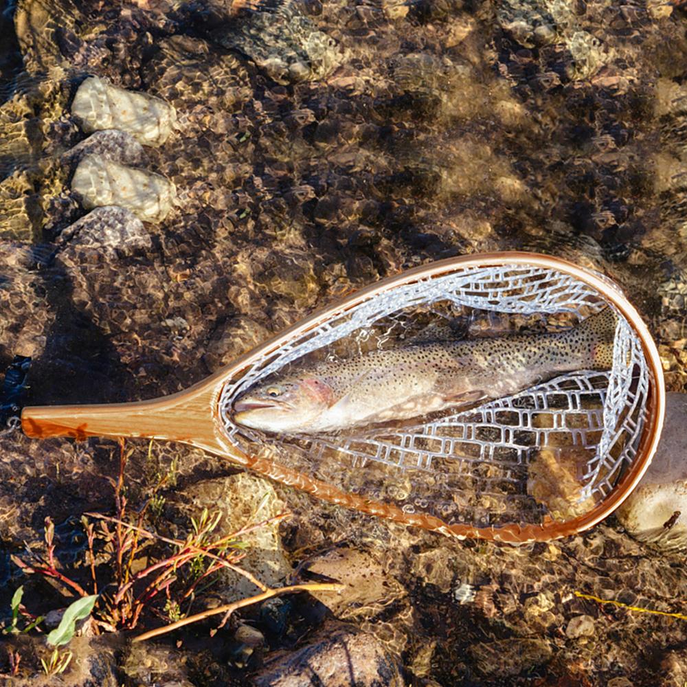 Fishing Landing Net with Elastic Lanyard Fly Fishing Net Fishing Catch and Release Net