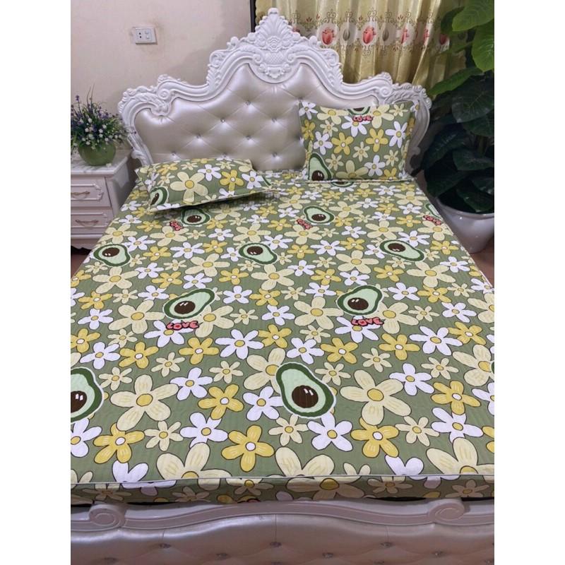 Bộ ga gối trần bông cotton loại đẹp