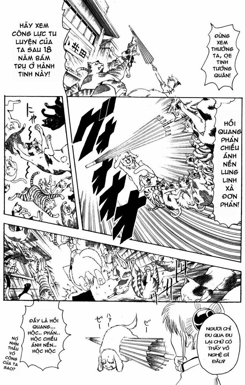 gintama - linh hồn bạc chapter 208 10