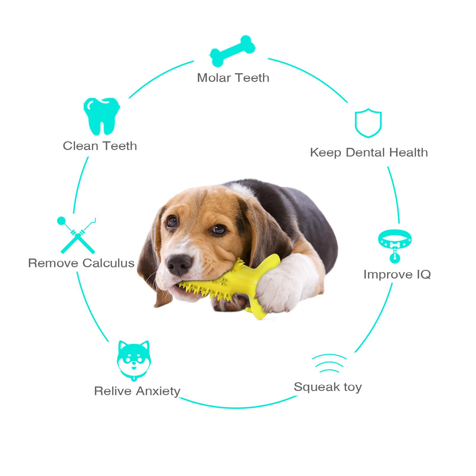 Đồ chơi cho thú cưng