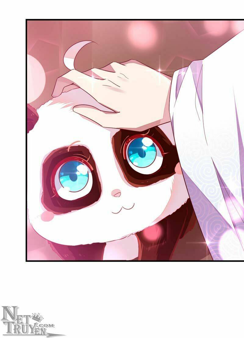 thiên thần gấu trúc muốn được ôm chapter 43 13