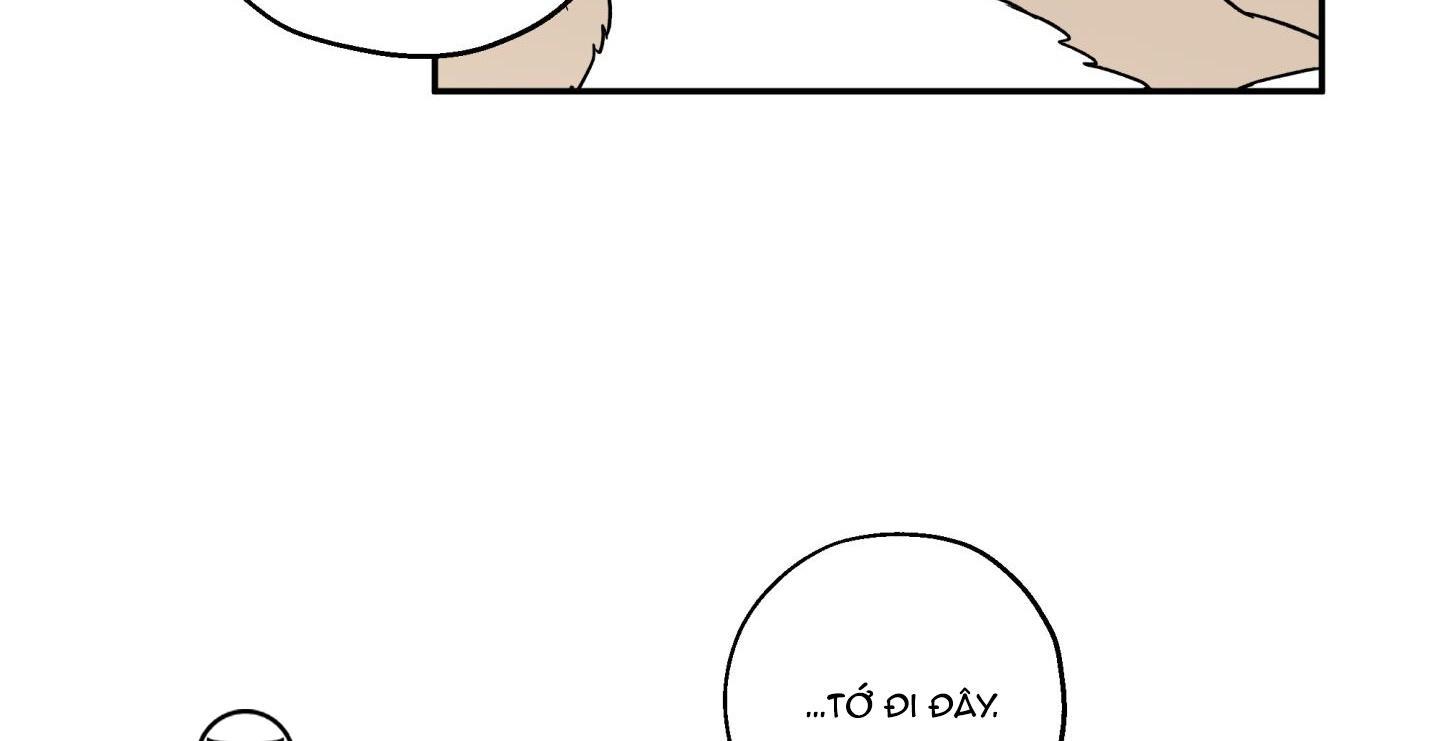 gâu gâu! chapter 51 91