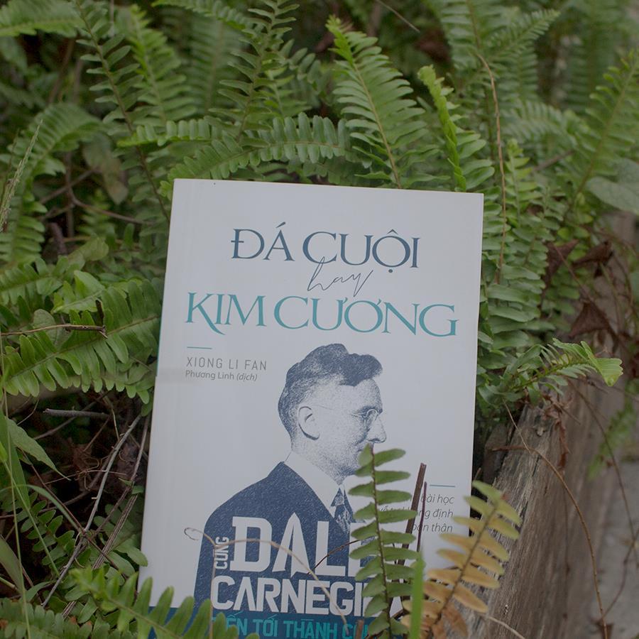 Sách: Cùng Carnegie Tiến Tới Thành Công - Đá Cuội Hay Kim Cương - TSKN
