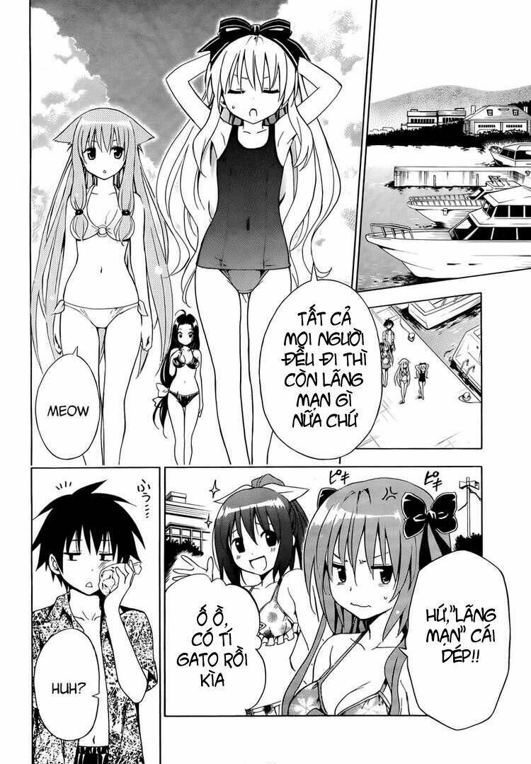 mayoi neko overrun! chapter 5 19