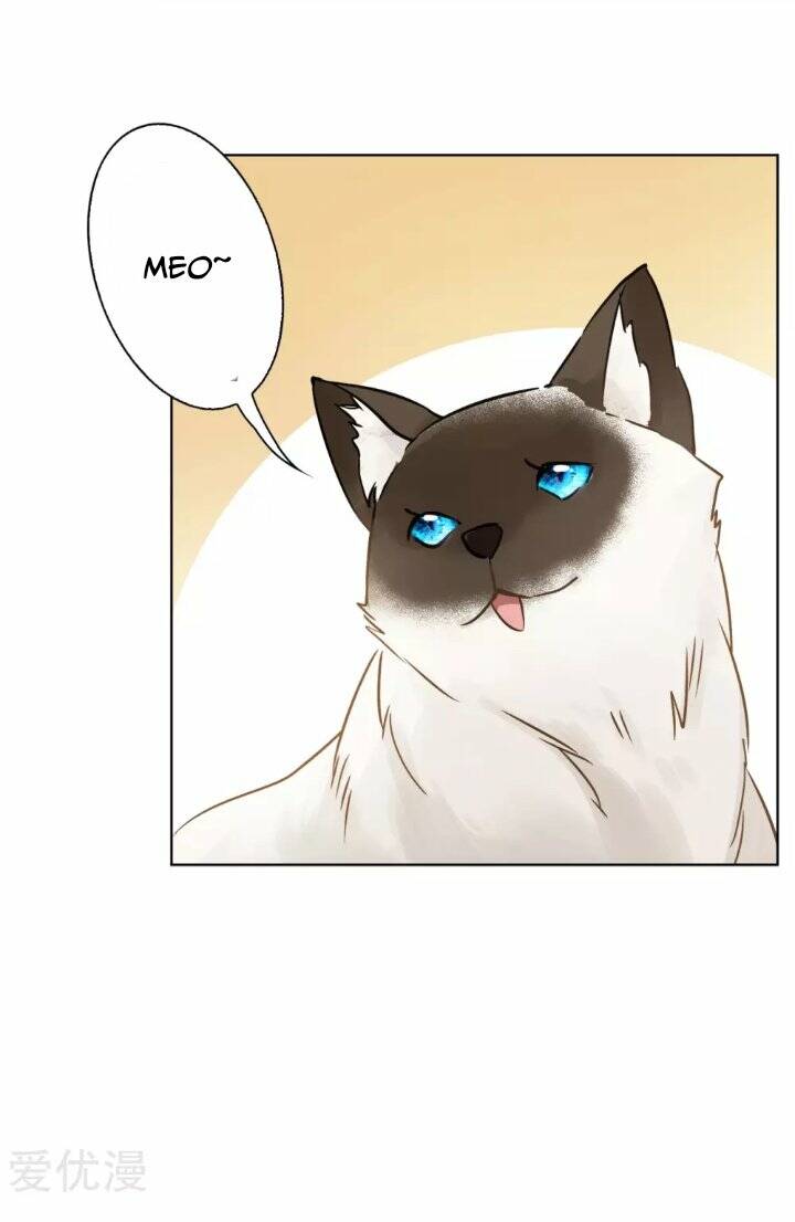 cô ấy đến rồi, xin nằm xuống! chapter 14 22