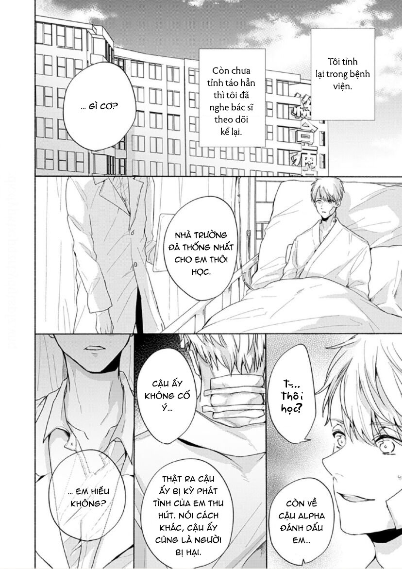 vết cắn tình đầu chapter 4 20