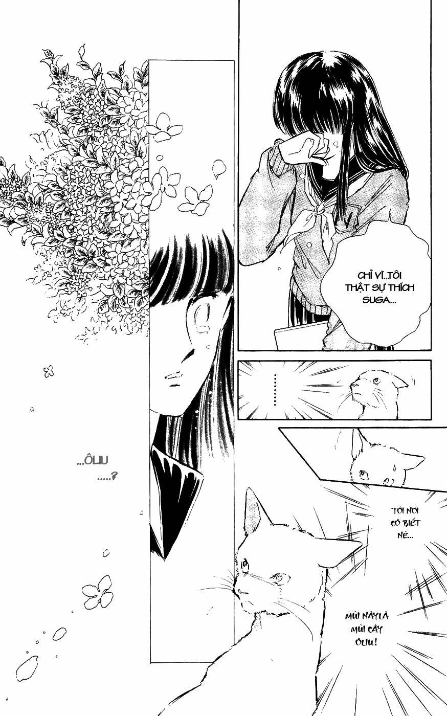 ryouko no shinrei jikenbo chapter 2 24