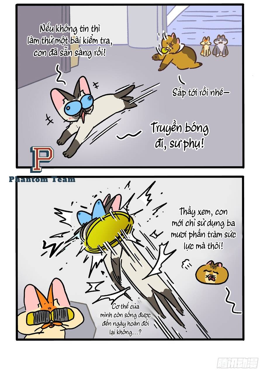 a mãn và mạch trà chapter 152.1 2