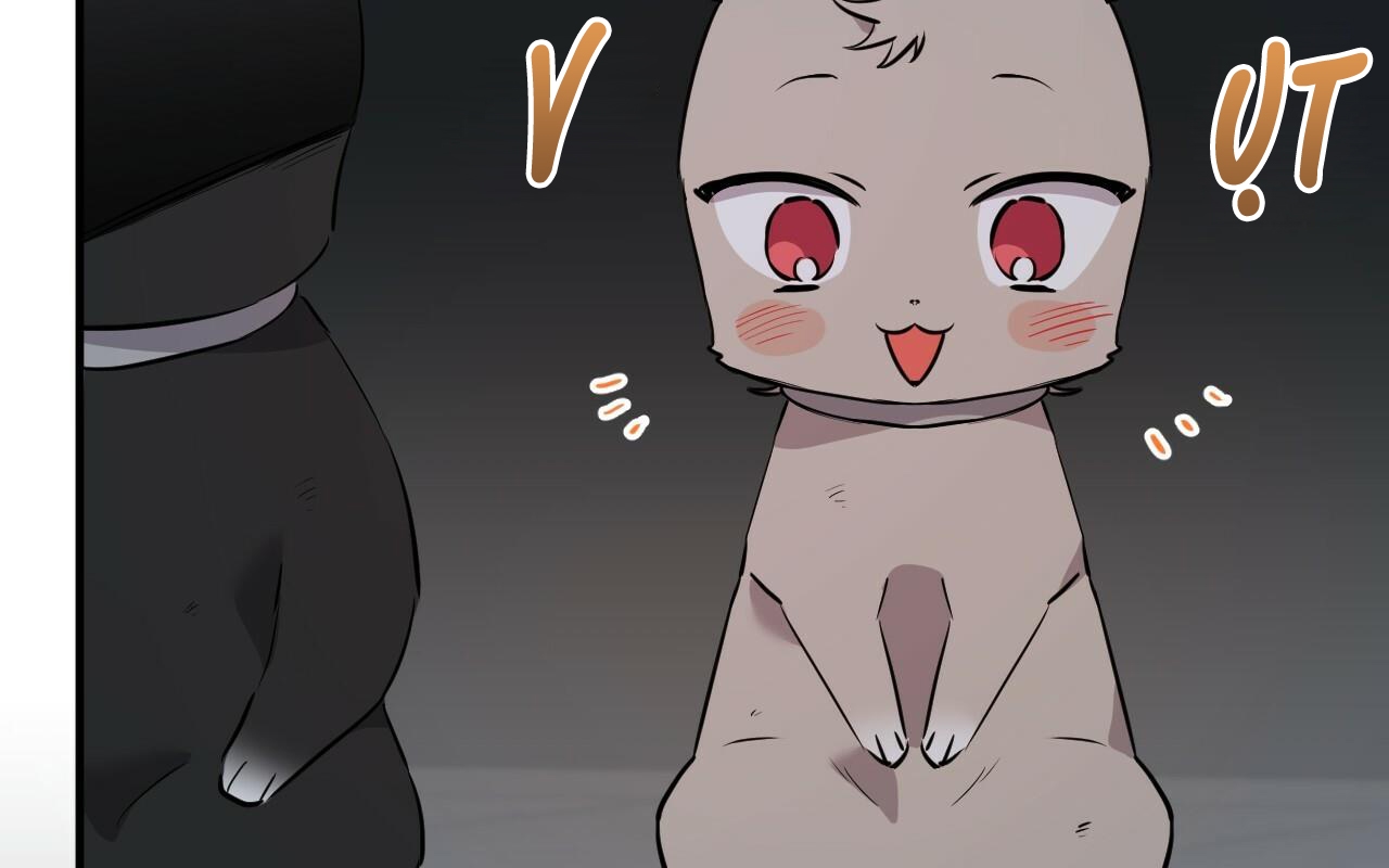 đàn thỏ của habibi chapter 46 268