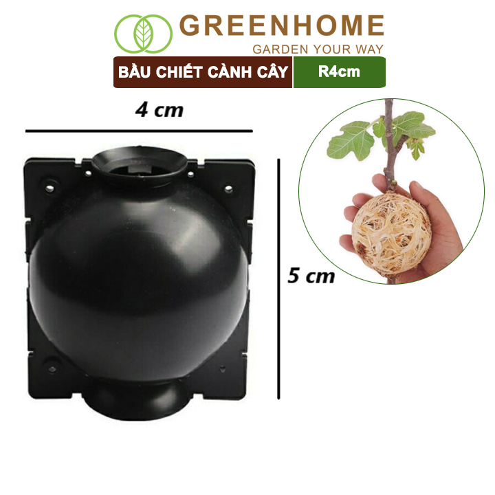 Bầu chiết cành cây Greenhome, tăng khả năng ra rễ, chống úng cành chiết, tái sử dụng nhiều lần, nhiều kích thước