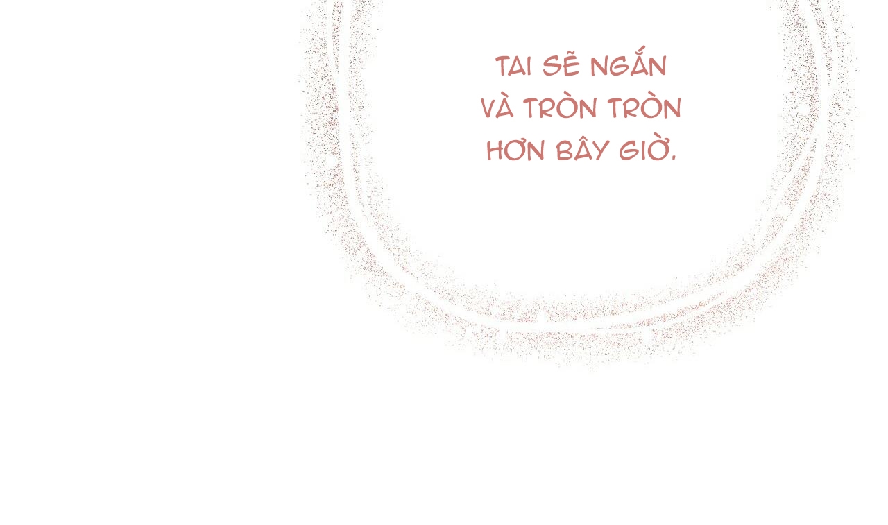 đàn thỏ của habibi chapter 31 77