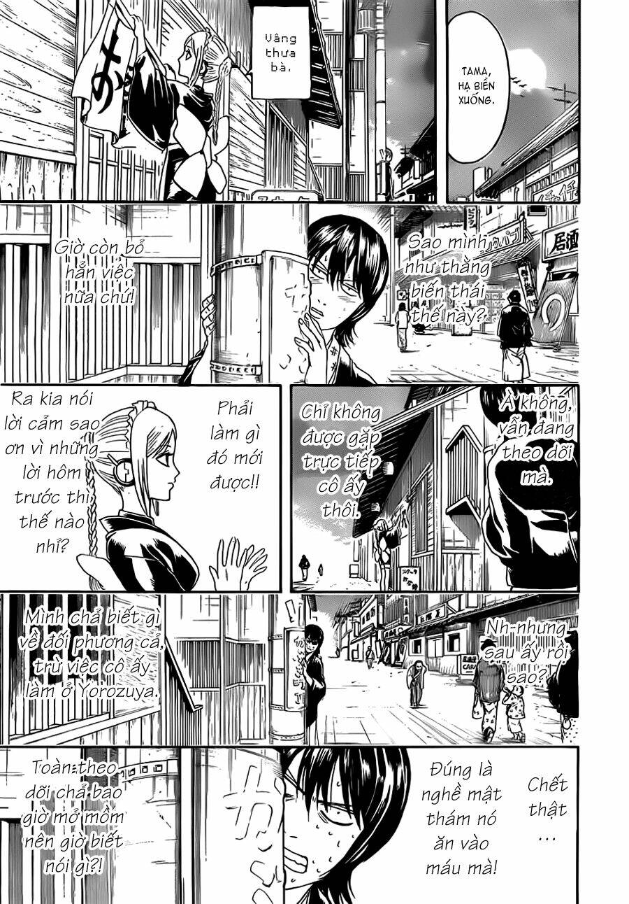gintama - linh hồn bạc chapter 384 12