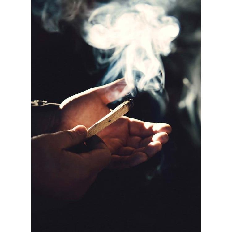 Palo santo loại đặc biệt mang lại may mắn - Gỗ trắc xanh - Gỗ thánh nhập Peru