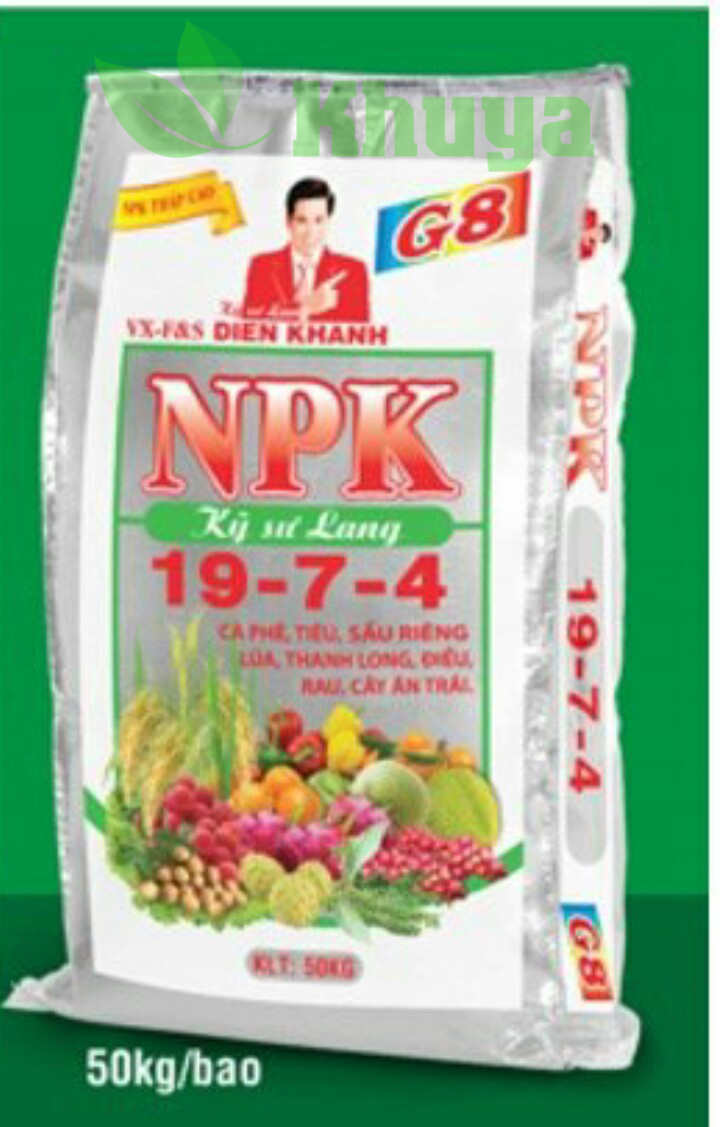 1kg Phân bón sinh học DienKhanh 19-7-4 Kích thích cây phát triển - Tăng độ phì nhiêu đất
