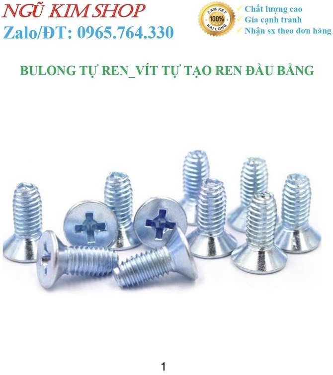 BULONG TỰ REN _ VÍT TỰ TẠO REN ĐẦU BẰNG