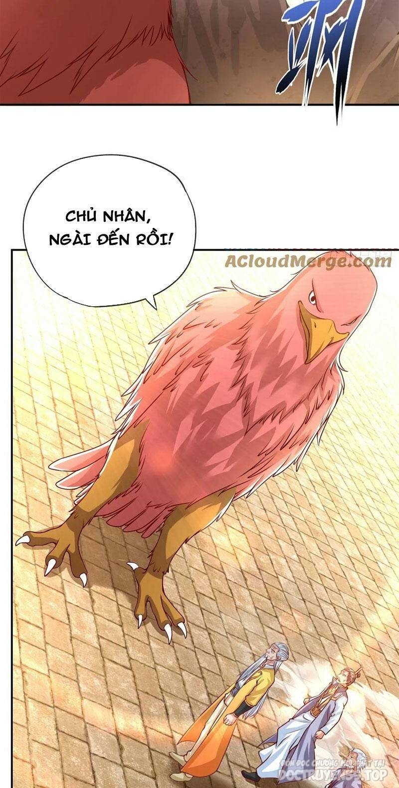 ta có khả năng vô hạn đốn ngộ chapter 44 10