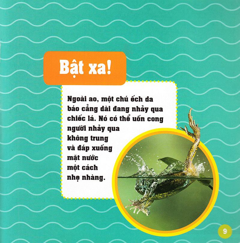 Khám Phá Thế Giới Diệu Kì - Loài Ếch