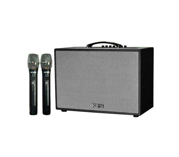 Loa Karaoke Acnos CS251PU (Kèm 2 Micro Không Dây) - Hàng Chính Hãng