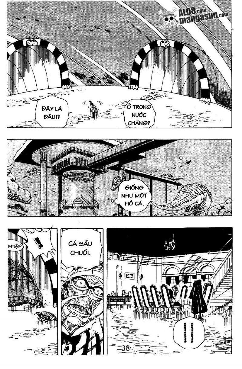 đảo hải tặc - one piece chapter 166 10