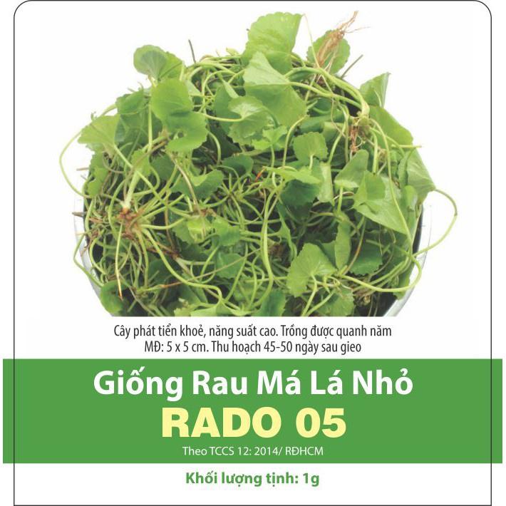 Hạt giống rau má lá nhỏ, đóng gói 0.5gr