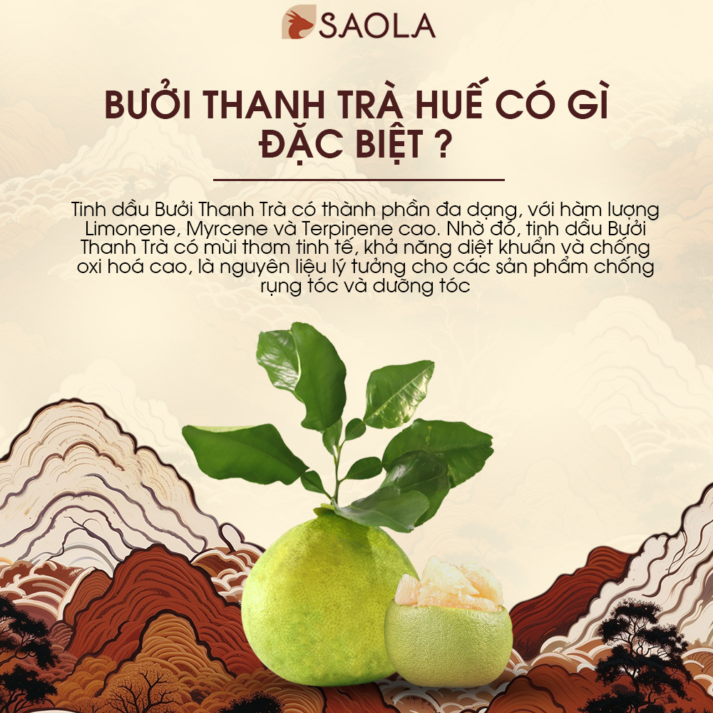 Dầu Gội Bưởi, Hương Nhu, Bạc Hà, Giảm Rụng, Kích Mọc Tóc, Giảm Gàu, Hết Ngứa, Tự Nhiên,300ml,