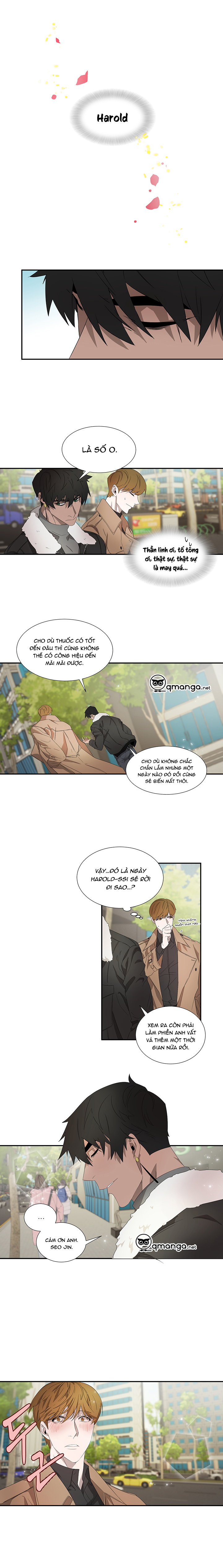 ever green chapter 10 11