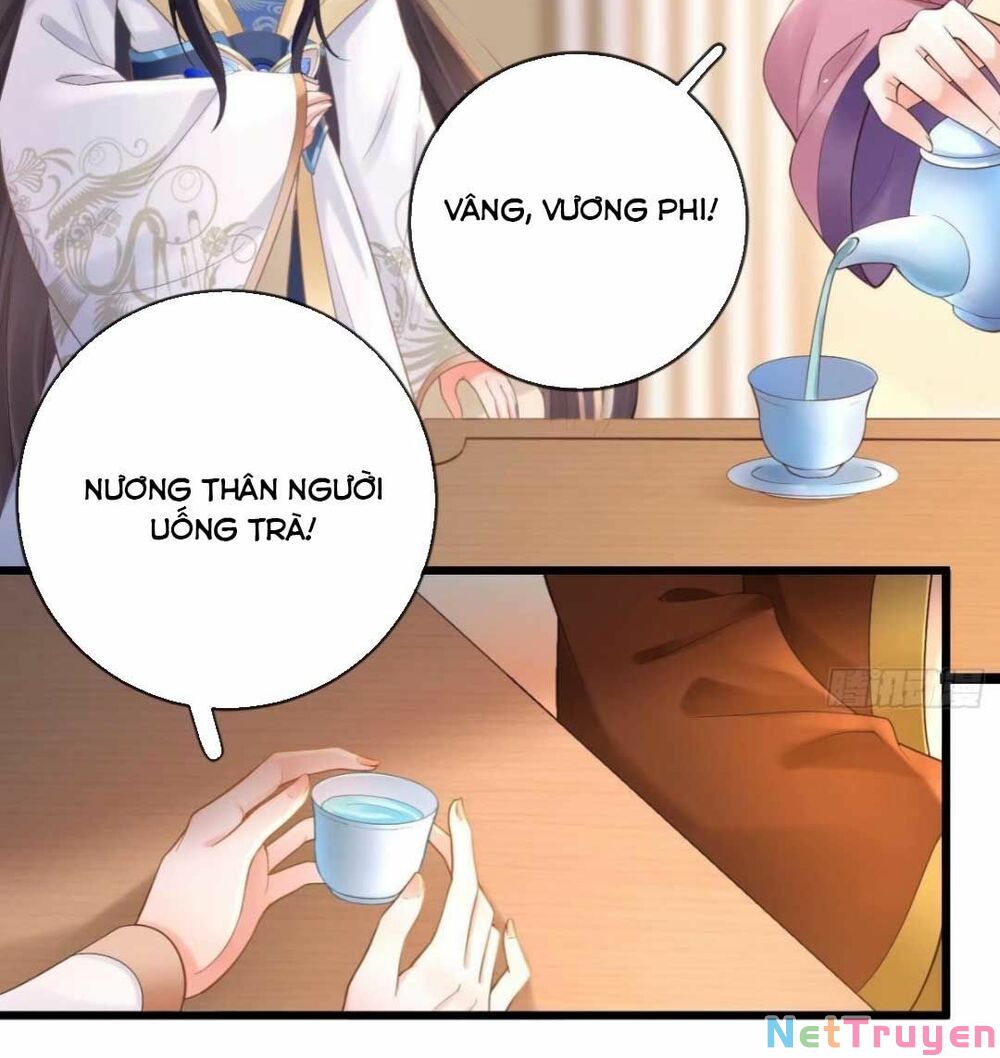 sự trả thù của vương phi chapter 14 10