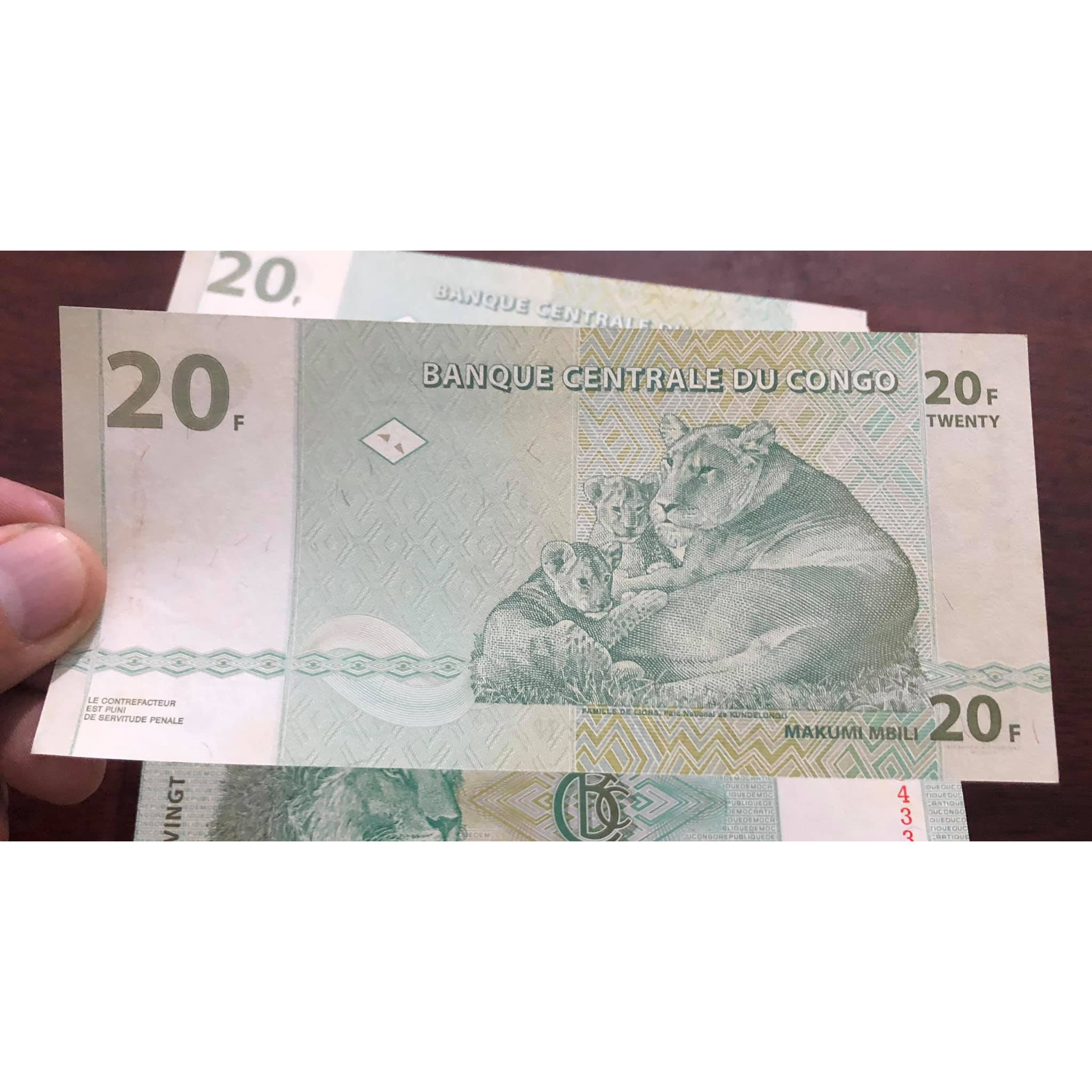 Tiền cổ Congo 20 Francs con sư tử sưu tầm