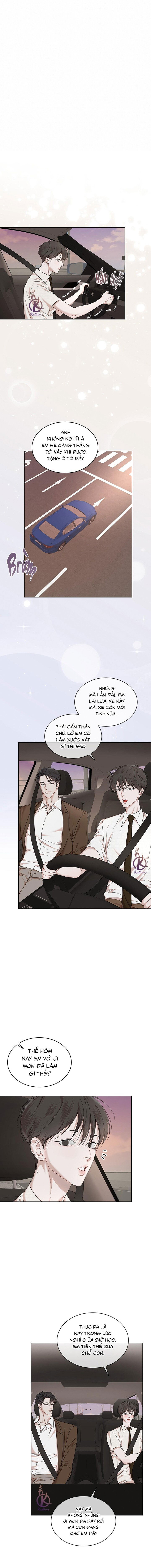 hình thái khởi sinh chapter 85 13