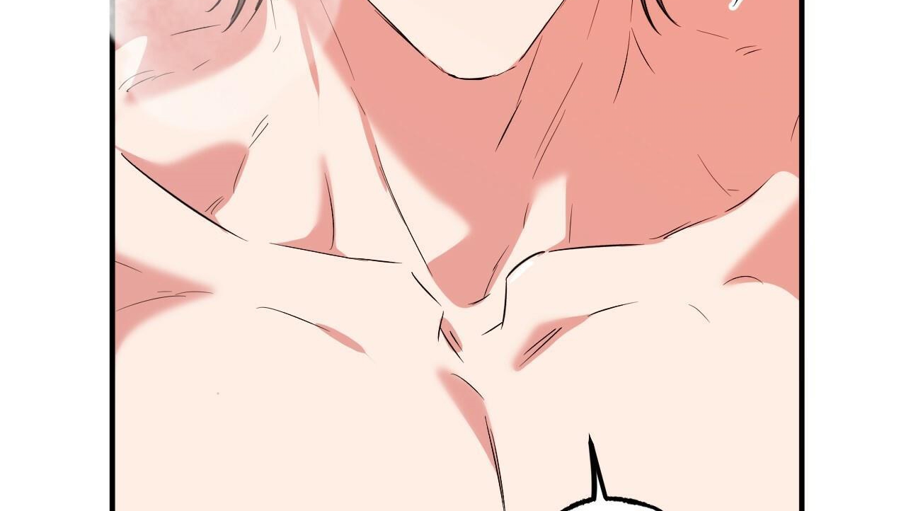 đàn thỏ của habibi chapter 54 162