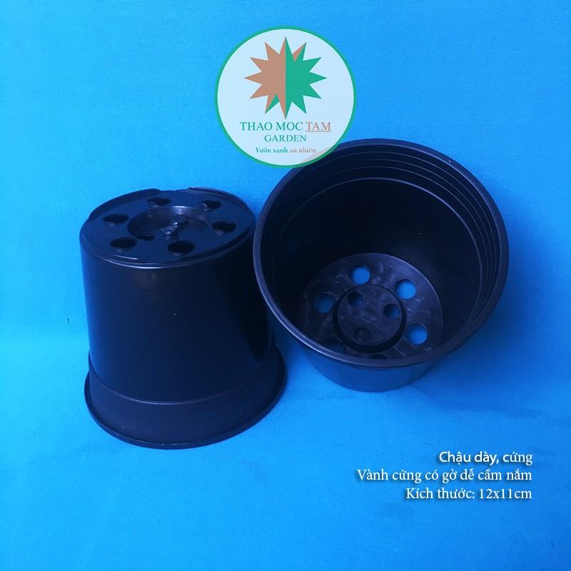 Chậu nhựa dày 12x11cm – Chậu nhựa cứng, dày chất lượng trồng sen đá và cây hoa nhỏ, ươm lan kiếm, lá kiểng