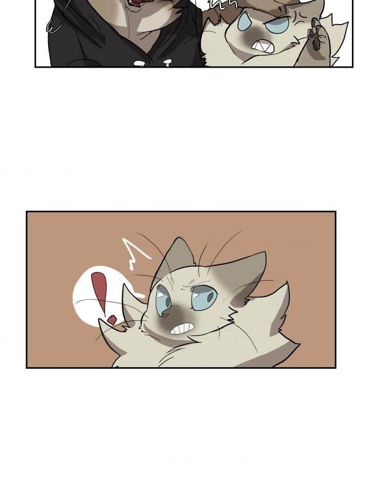 cat girl and bodyguards chapter 21 5