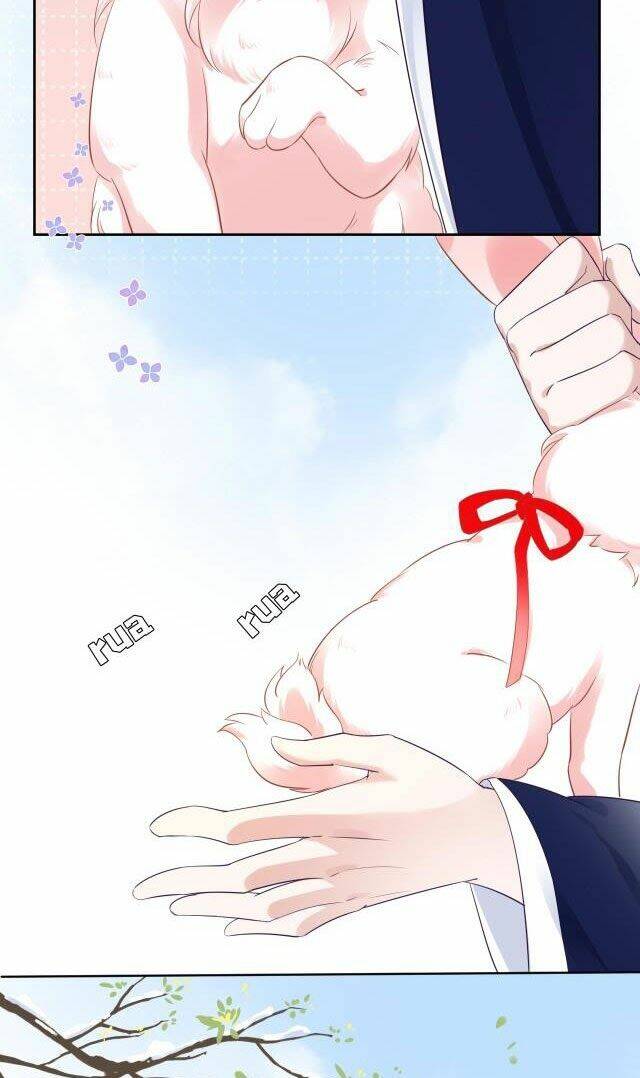 hắc hóa nam chính trực tuyến nuôi thỏ chapter 8 22