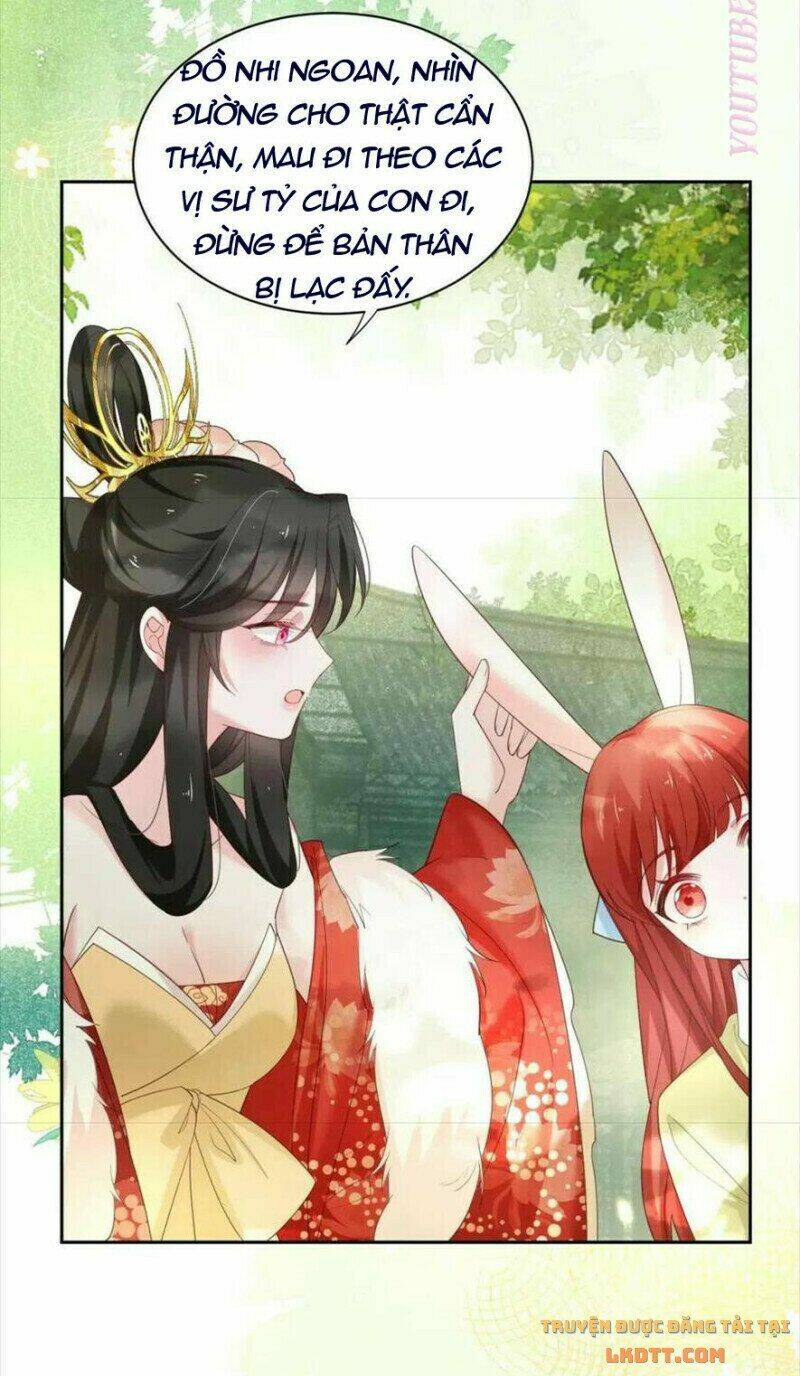 hắc hóa nam chính trực tuyến nuôi thỏ chapter 57 23