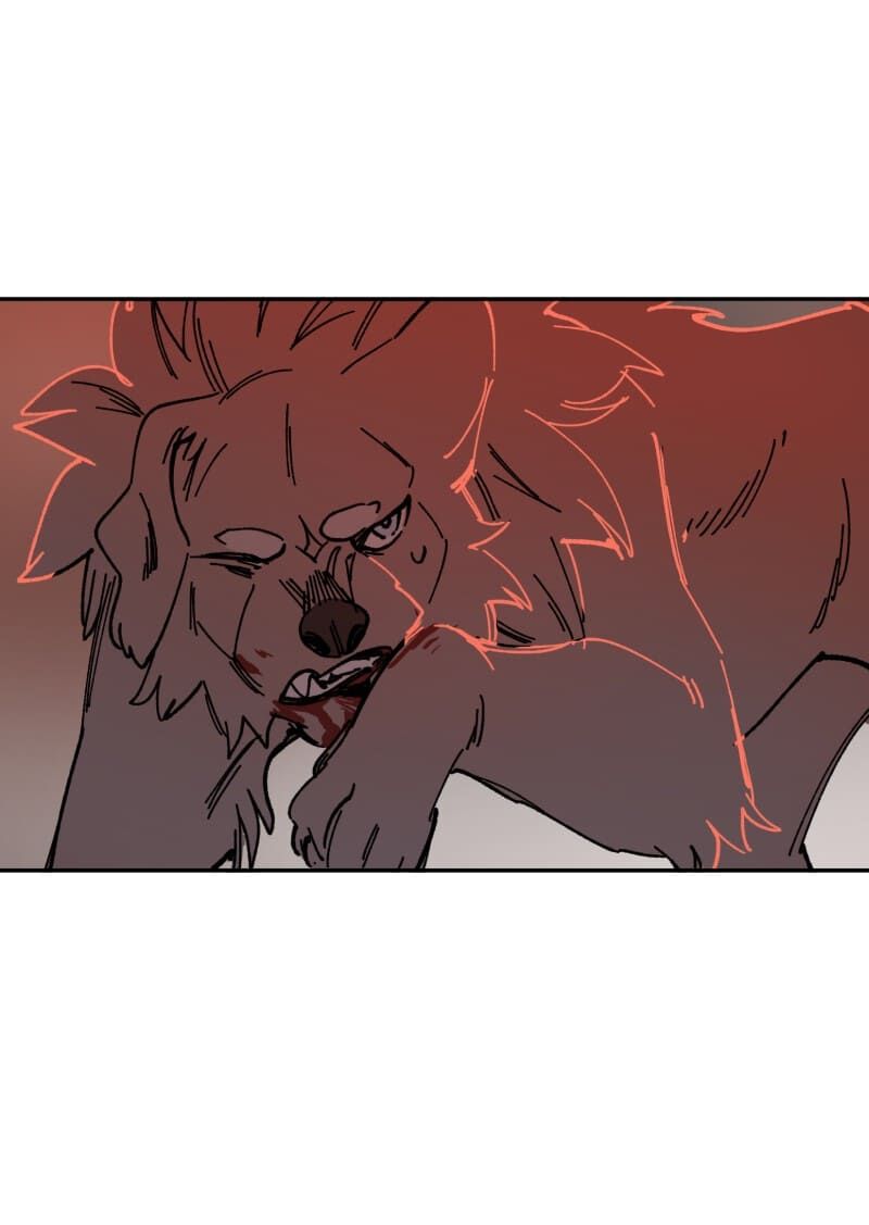 lumine - cội nguồn ánh sáng chapter 110 21