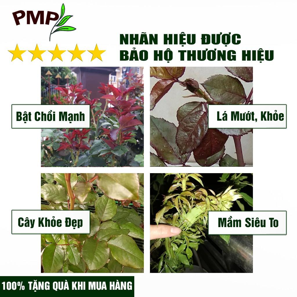 Combo 2 Chai Dịch Chuối Humic PMP Vi Sinh Chuyên Dùng Cho Hoa Hồng, Rau Sạch 1L/Chai