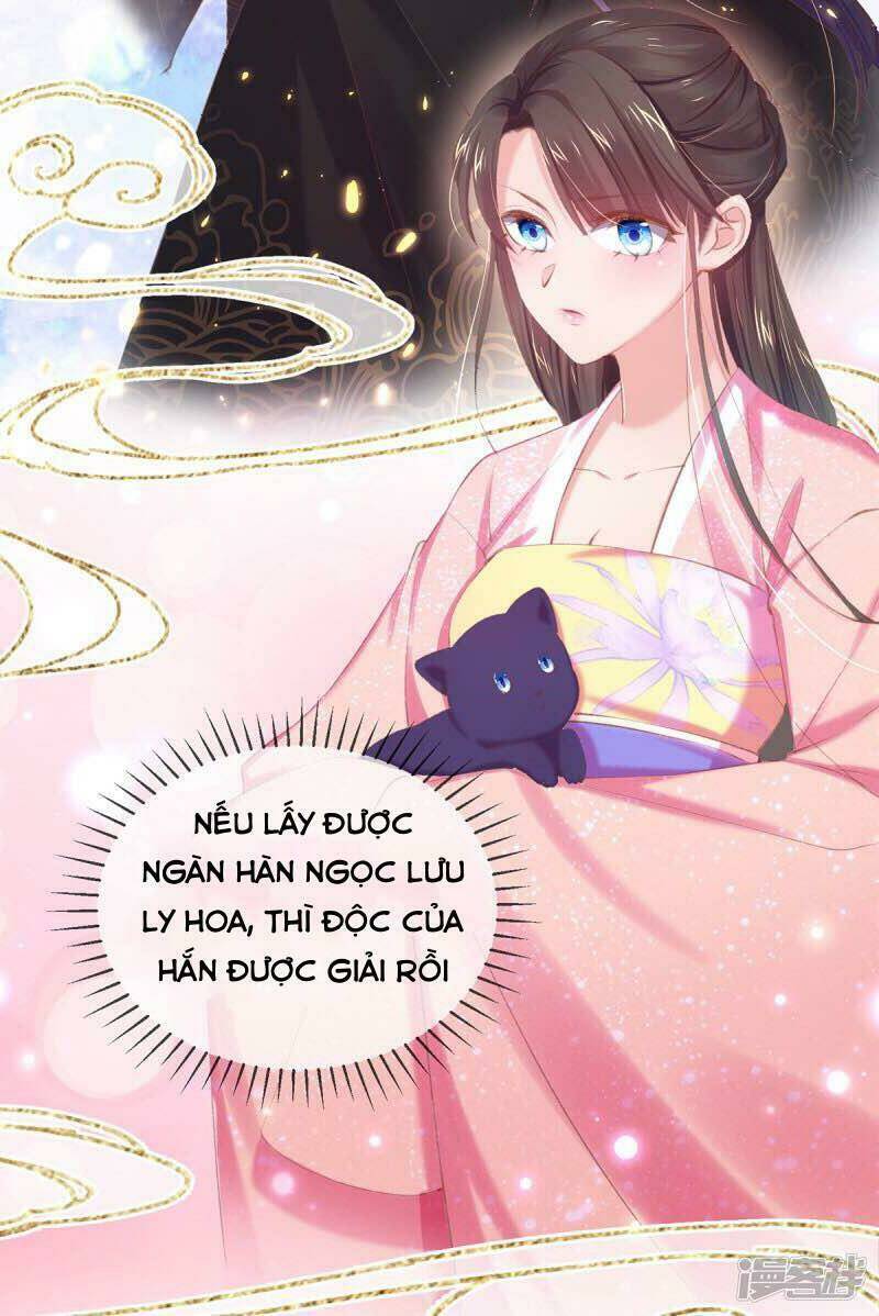 thị huyết y phi chapter 54 21