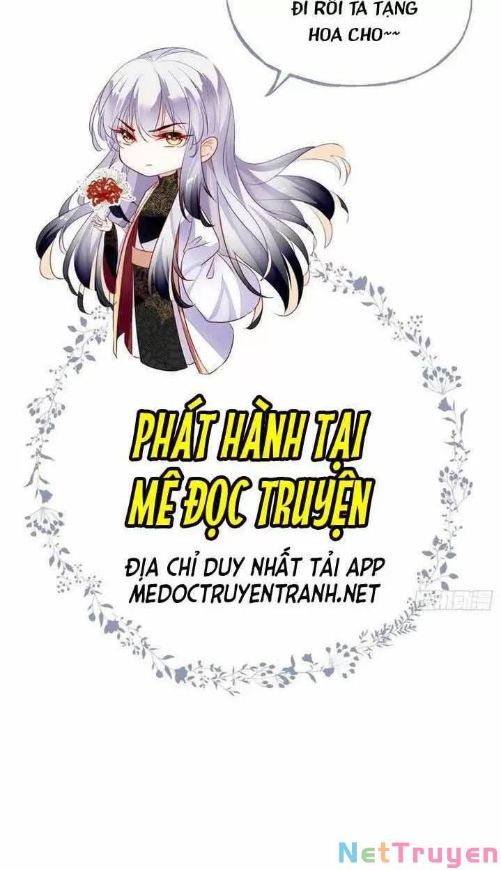 lại bị bệnh chiều chuộng quấn lấy chapter 14 44