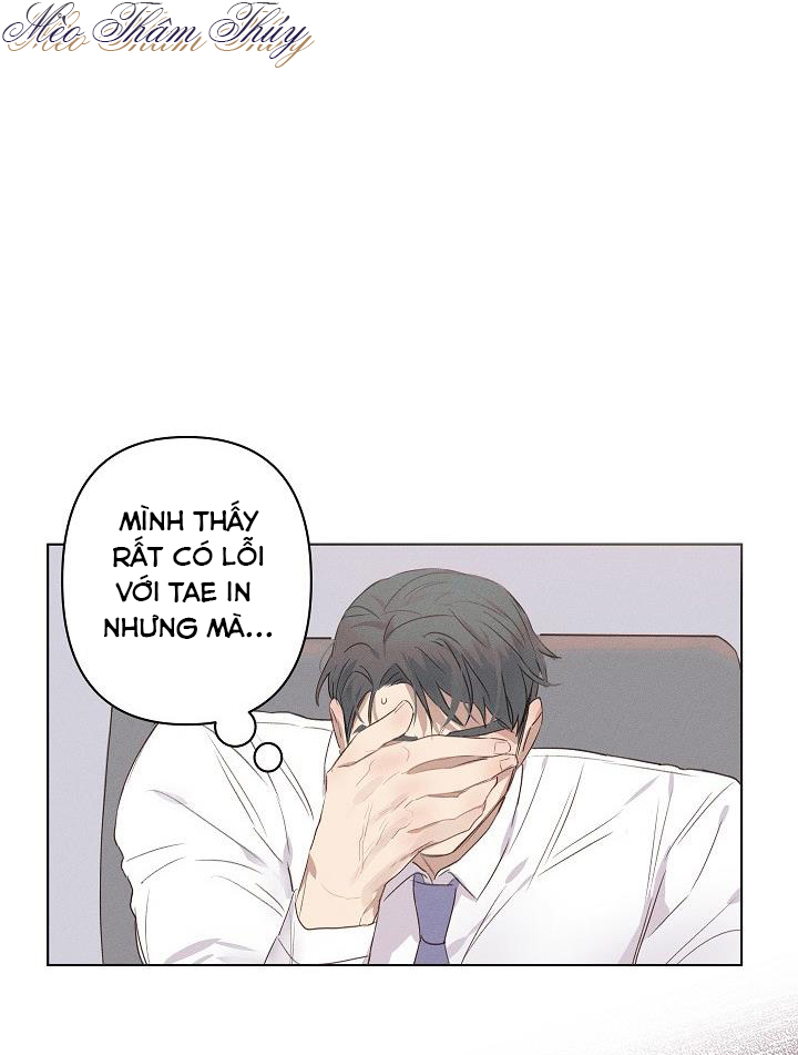 nơi tình yêu định mệnh chapter 2 5