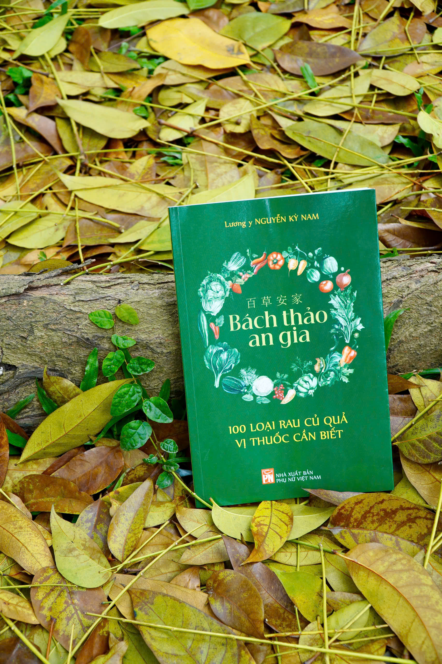 Sách Bách Thảo An Gia - 100 loại rau củ quả vị thuốc cần biết