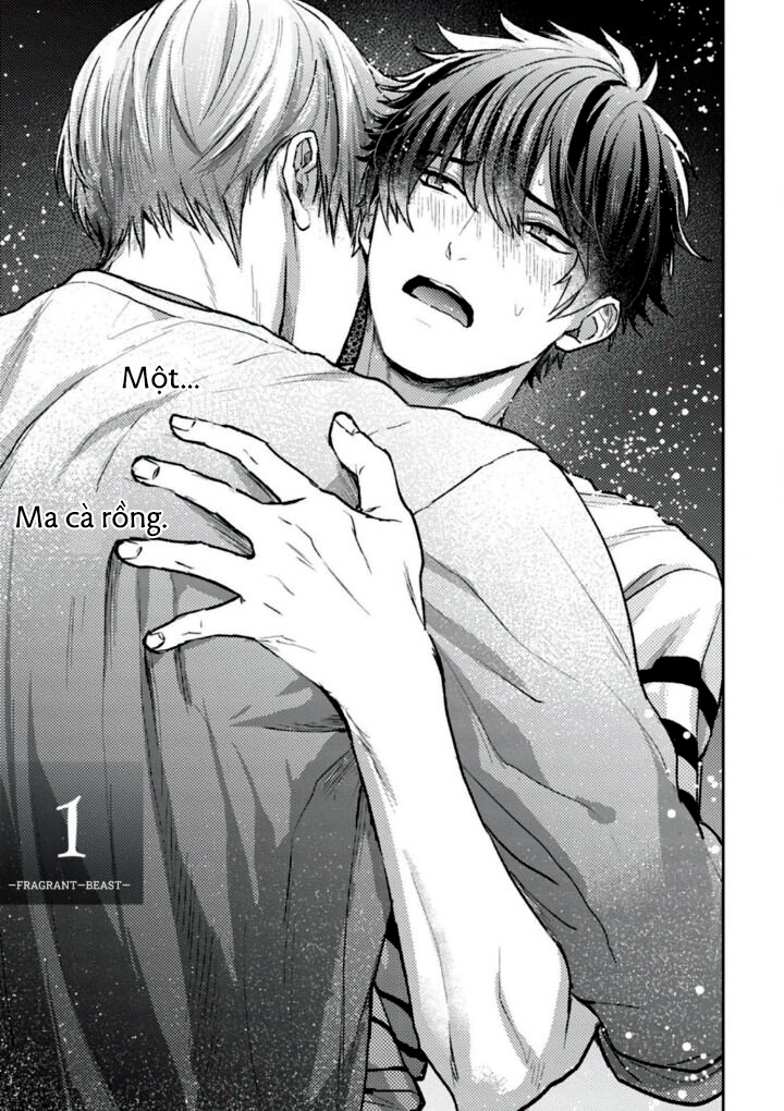 mật ngọt dã thú chapter 1 4