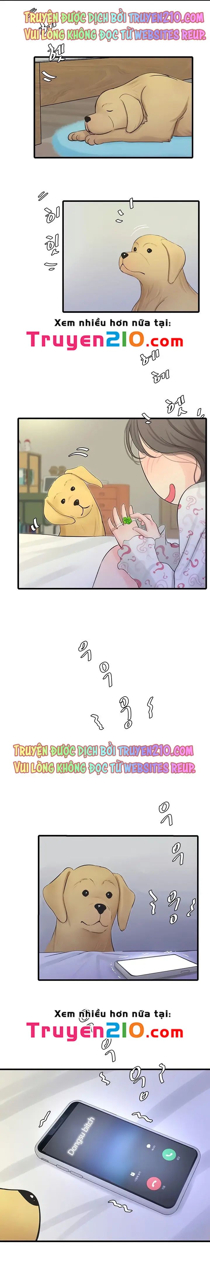 các em trinh nữ ở rể chapter 74 17