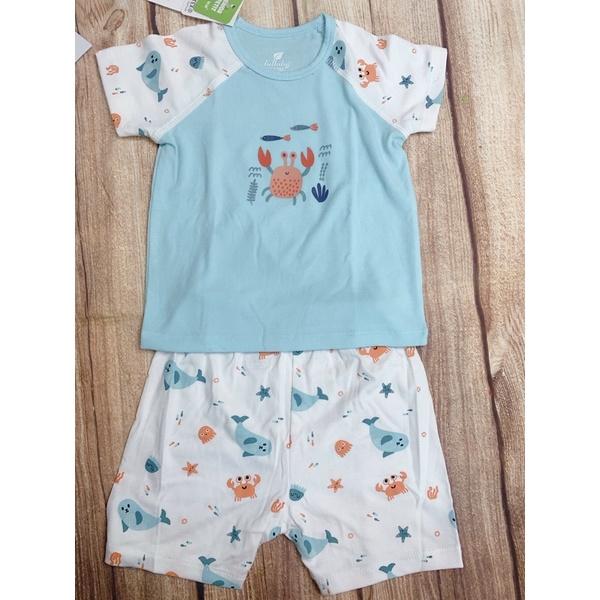 Bộ cộc tay trắng phối xanh Lullaby mẫu 3