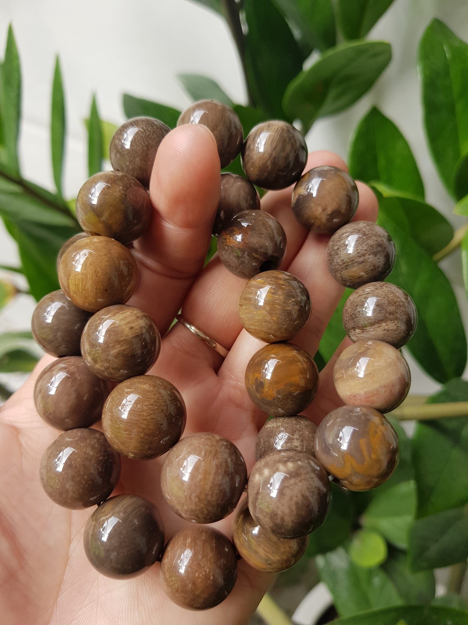 Vòng Gỗ Hóa Thạch Nam 16mm Màu Sáng Bóng Tự nhiên Gỗ Hóa Thạch Đẹp Nam đeo size vòng 16mm sang tay ạ