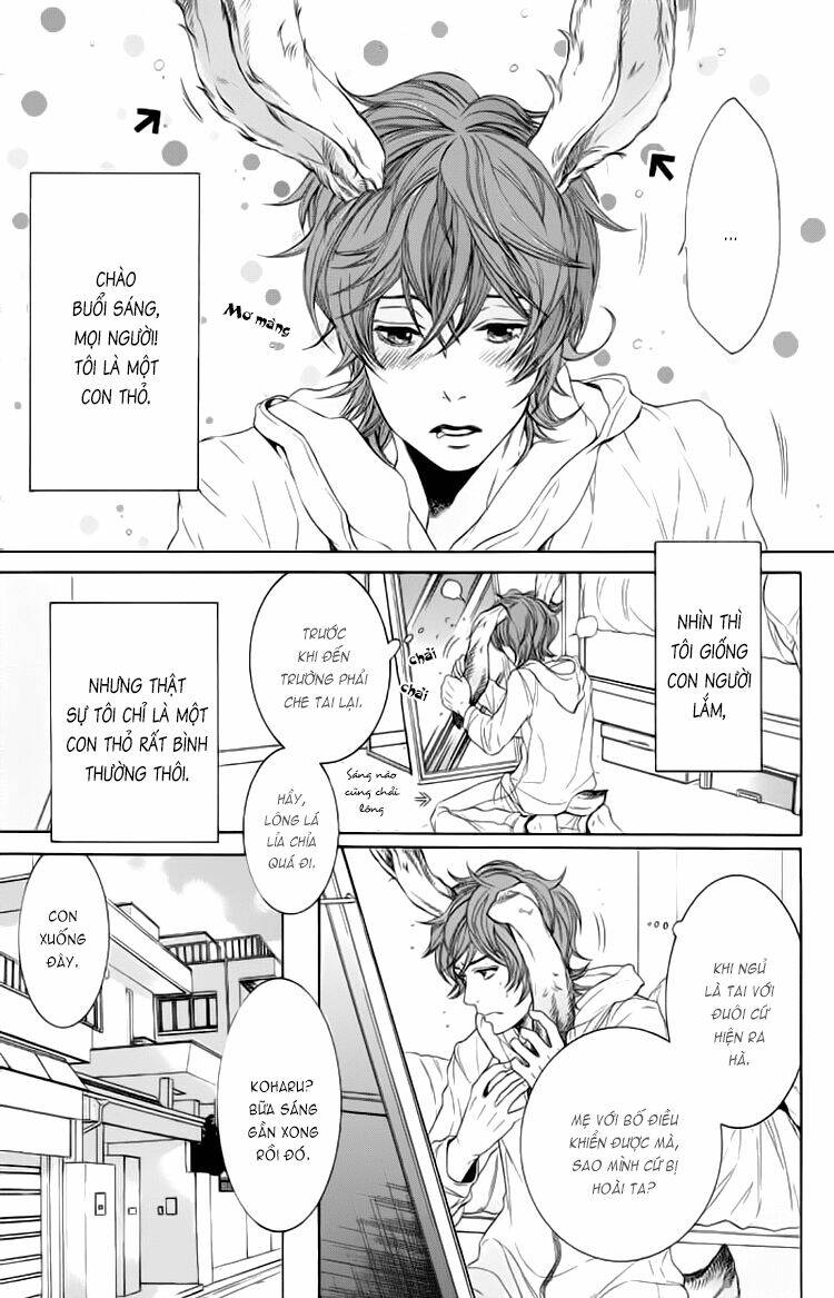 oinarisama no honey bunny chapter 1 13