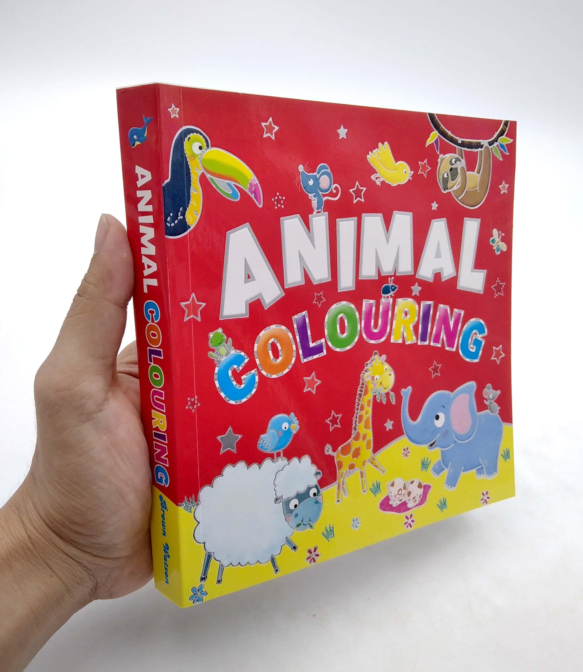Animal Colouring
