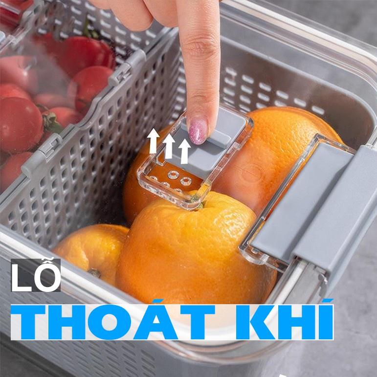 Hộp Đựng Thực Phẩm Tủ Lạnh 2 Lớp Có Lỗ Thoát Nước, Có Khóa Thoát Khí, Dễ Dàng Bảo Quản Rau Củ - Giao Màu Ngẫu Nhiên - Free Ship Toàn Quốc