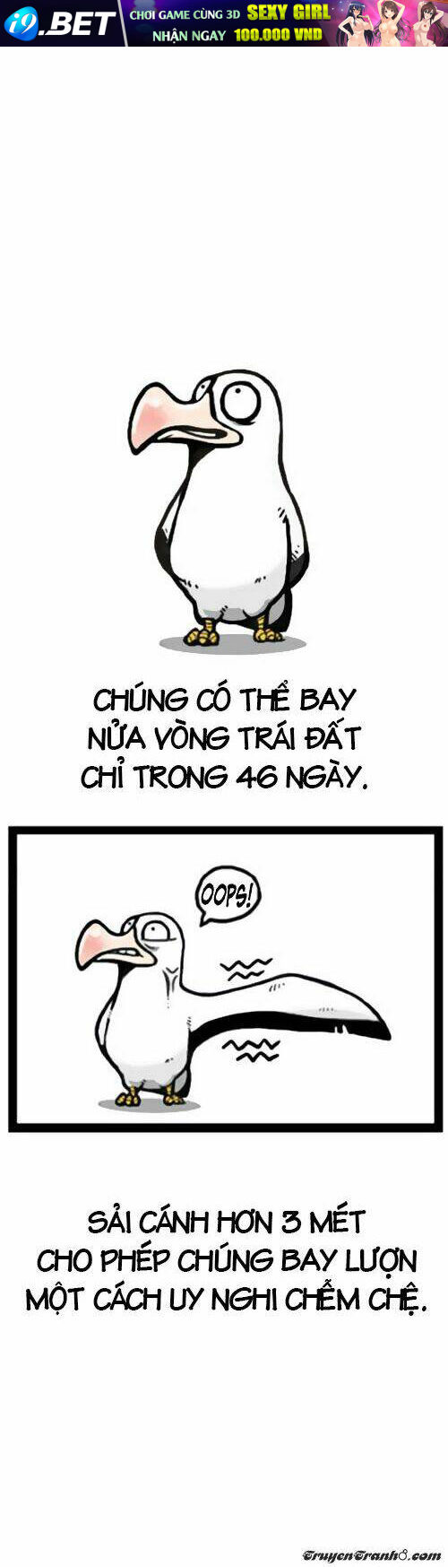 earth, human, and animal chapter 1 6