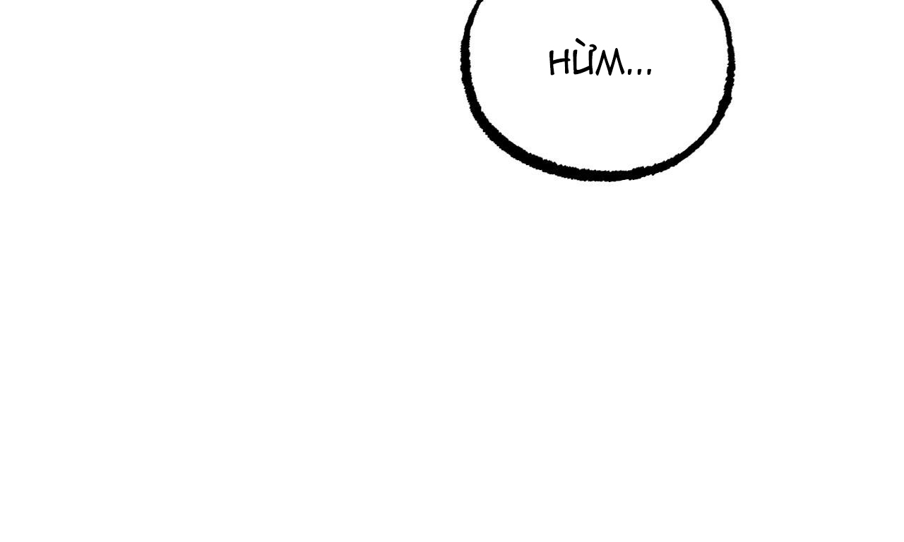 những chú thỏ của hapypy chapter 49 92