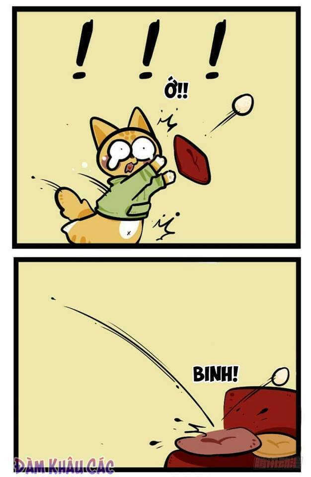 đời không như mình tưởng chapter 40 5